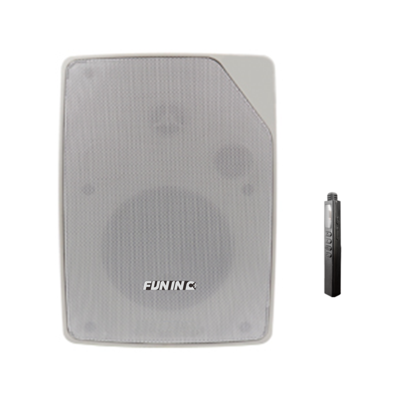 有源壁挂音箱（电教室）